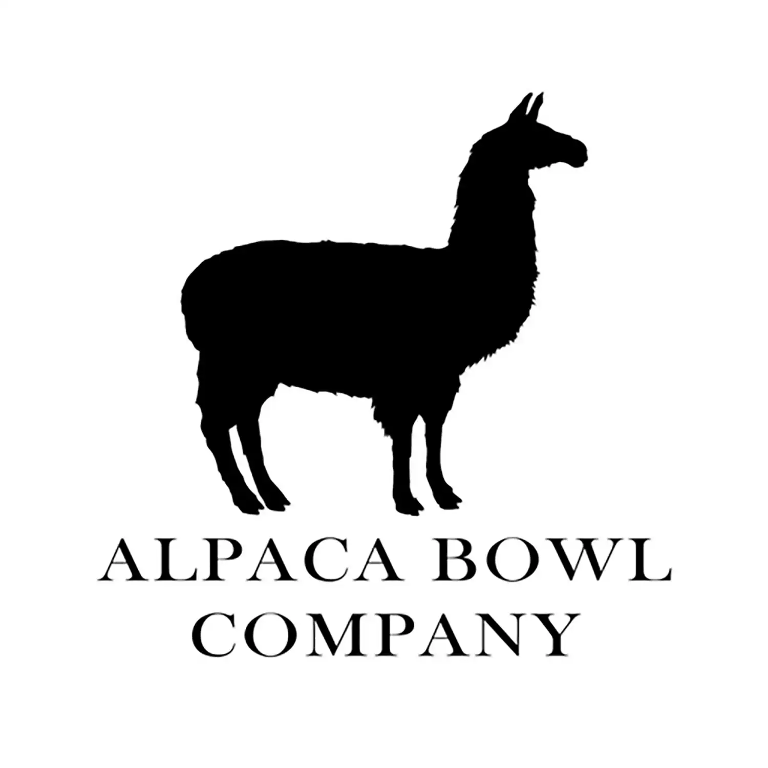 alpaca copia