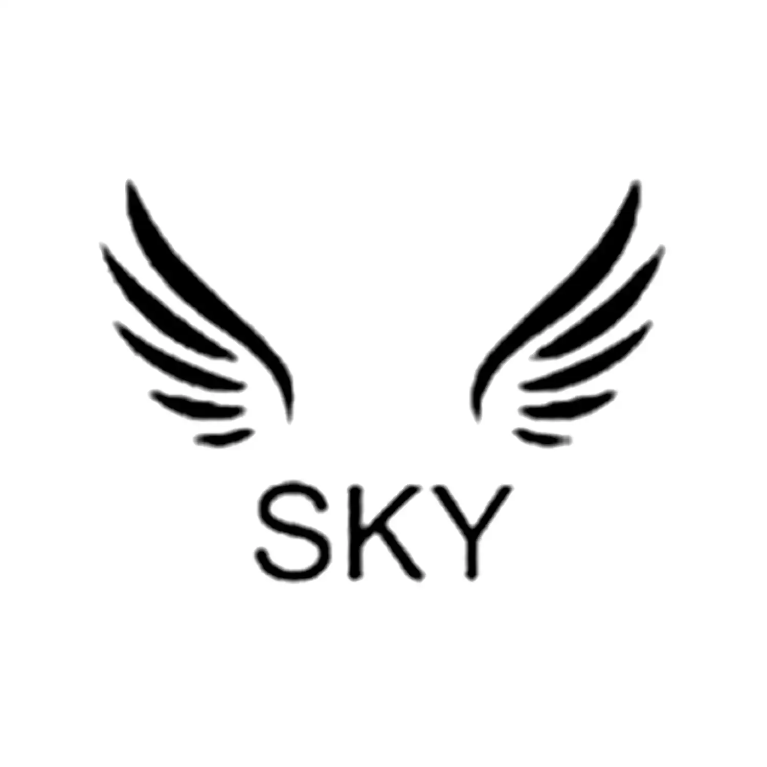 sky-hookah copia