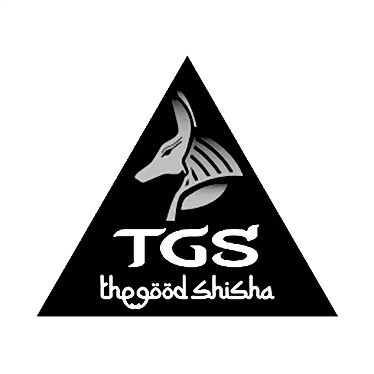 tgs copia