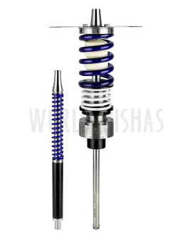 SHI CARVER STATIC FINAL CANDY BLUE WHITE WHITE