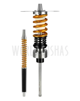 SHI CARVER STATIC FINAL GOLD BLACK WHITE BLACK