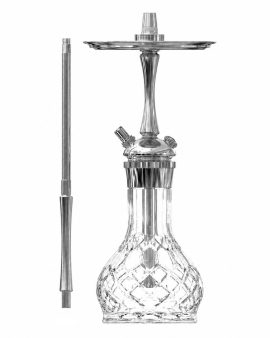 maxx mini silver
